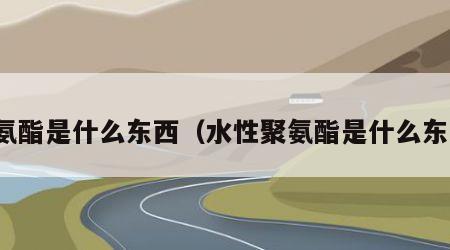 聚氨酯是什么东西（水性聚氨酯是什么东西）