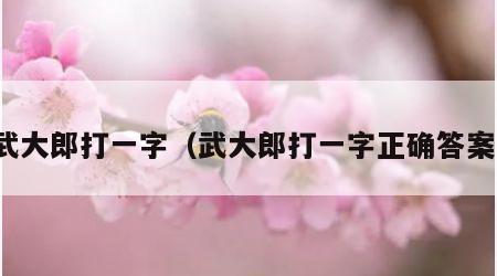 武大郎打一字（武大郎打一字正确答案）