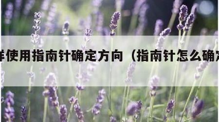 怎样使用指南针确定方向（指南针怎么确定方向）
