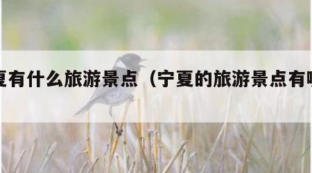 宁夏有什么旅游景点（宁夏的旅游景点有哪些）