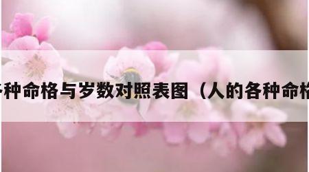 各种命格与岁数对照表图（人的各种命格）