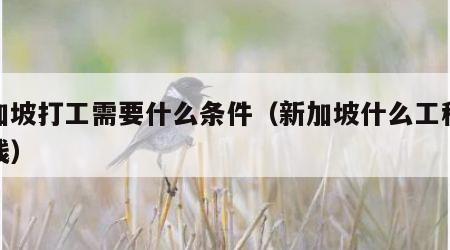 新加坡打工需要什么条件（新加坡什么工种最挣钱）
