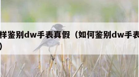 怎样鉴别dw手表真假（如何鉴别dw手表真假）