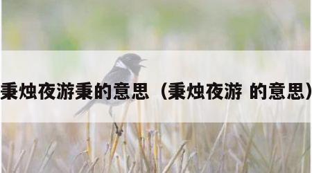 秉烛夜游秉的意思（秉烛夜游 的意思）