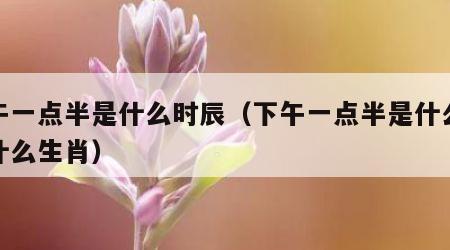 下午一点半是什么时辰（下午一点半是什么时辰什么生肖）