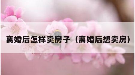 离婚后怎样卖房子（离婚后想卖房）