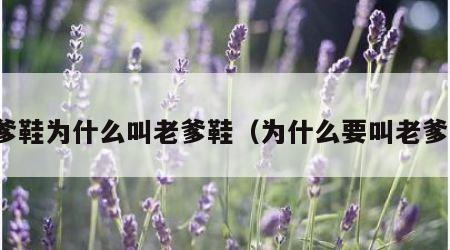 老爹鞋为什么叫老爹鞋（为什么要叫老爹鞋）