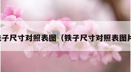 铁子尺寸对照表图（铁子尺寸对照表图片）
