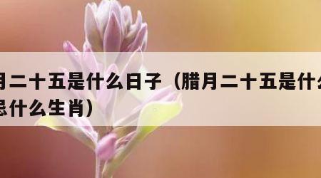 腊月二十五是什么日子（腊月二十五是什么日子忌什么生肖）