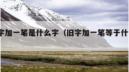 旧字加一笔是什么字（旧字加一笔等于什么?）