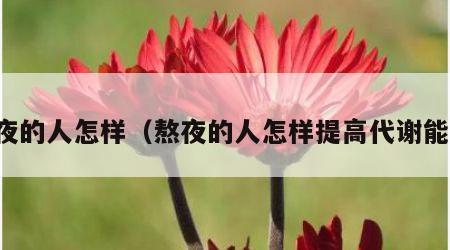 熬夜的人怎样（熬夜的人怎样提高代谢能力）