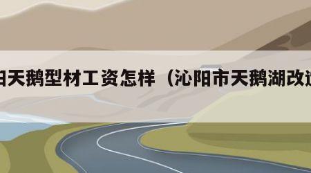 沁阳天鹅型材工资怎样（沁阳市天鹅湖改造项目）