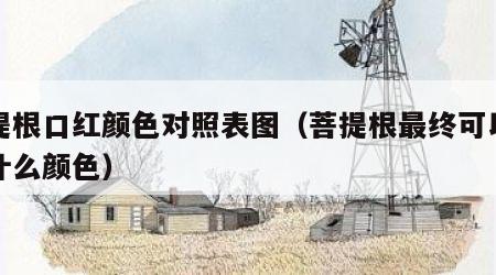 菩提根口红颜色对照表图（菩提根最终可以盘成什么颜色）