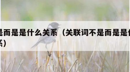 不是而是是什么关系（关联词不是而是是什么关系）