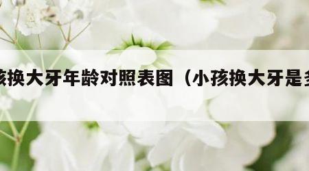 小孩换大牙年龄对照表图（小孩换大牙是多少岁）