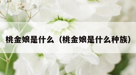 桃金娘是什么（桃金娘是什么种族）
