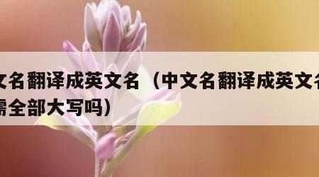 中文名翻译成英文名（中文名翻译成英文名姓氏需全部大写吗）