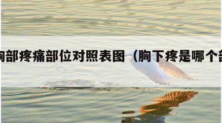 下胸部疼痛部位对照表图（胸下疼是哪个部位）