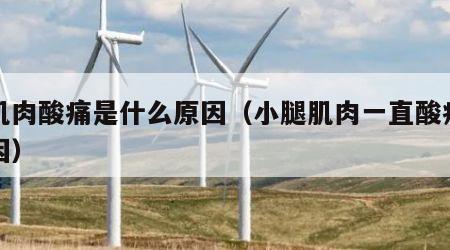 腿肌肉酸痛是什么原因（小腿肌肉一直酸痛的原因）