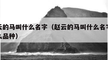 赵云的马叫什么名字（赵云的马叫什么名字是什么品种）