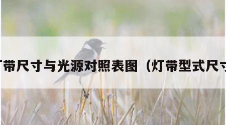 灯带尺寸与光源对照表图（灯带型式尺寸）