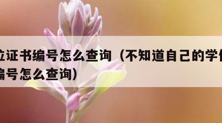 学位证书编号怎么查询（不知道自己的学位证书编号怎么查询）
