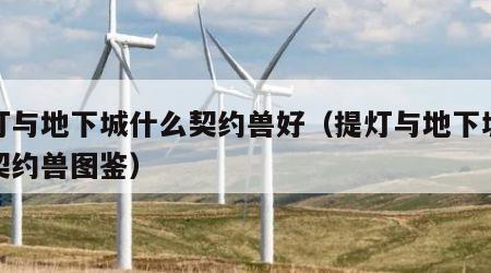 提灯与地下城什么契约兽好（提灯与地下城什么契约兽图鉴）