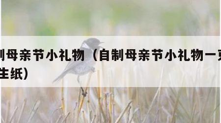 自制母亲节小礼物（自制母亲节小礼物一束花,卫生纸）