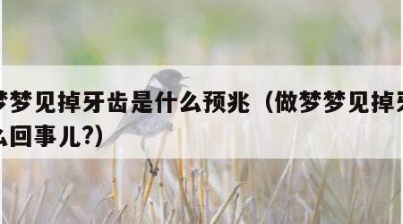 做梦梦见掉牙齿是什么预兆（做梦梦见掉牙是怎么回事儿?）