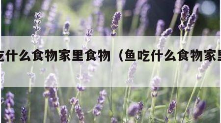鱼吃什么食物家里食物（鱼吃什么食物家里蔬菜）