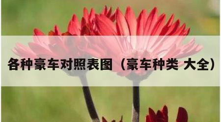 各种豪车对照表图（豪车种类 大全）