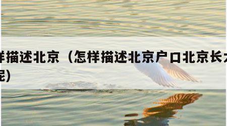 怎样描述北京（怎样描述北京户口北京长大的人呢）