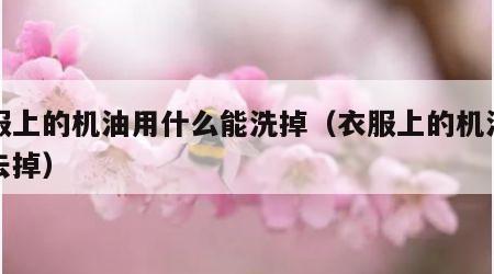 衣服上的机油用什么能洗掉（衣服上的机油如何去掉）