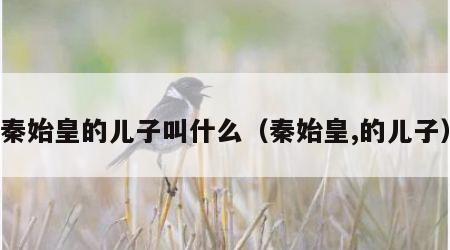 秦始皇的儿子叫什么（秦始皇,的儿子）