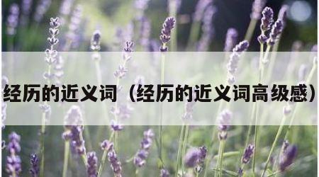 经历的近义词（经历的近义词高级感）