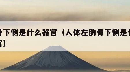 肋骨下侧是什么器官（人体左肋骨下侧是什么器官）