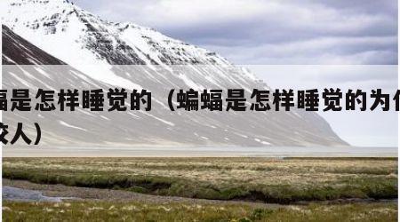 蝙蝠是怎样睡觉的（蝙蝠是怎样睡觉的为什么会咬人）