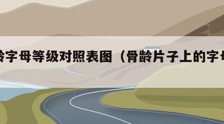 骨龄字母等级对照表图（骨龄片子上的字母表示）