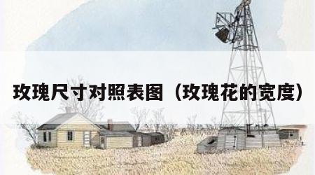 玫瑰尺寸对照表图（玫瑰花的宽度）