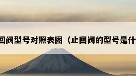 止回阀型号对照表图（止回阀的型号是什么）