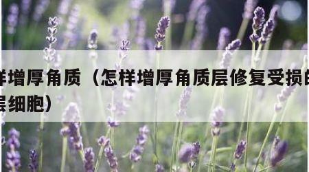 怎样增厚角质（怎样增厚角质层修复受损的基底层细胞）