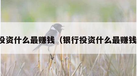 投资什么最赚钱（银行投资什么最赚钱）