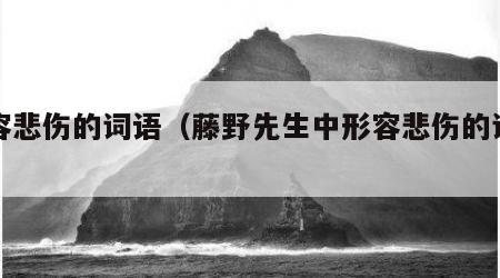 形容悲伤的词语（藤野先生中形容悲伤的词语）