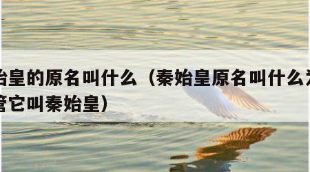秦始皇的原名叫什么（秦始皇原名叫什么为什么管它叫秦始皇）