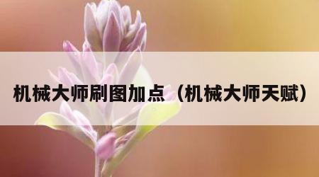 机械大师刷图加点（机械大师天赋）