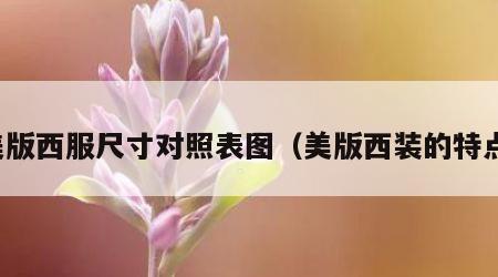 美版西服尺寸对照表图（美版西装的特点）