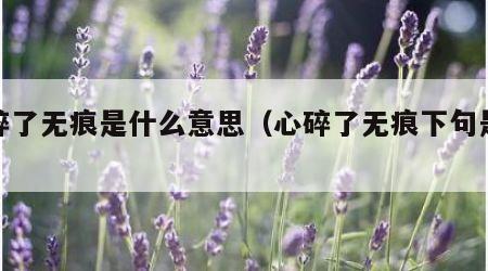 心碎了无痕是什么意思（心碎了无痕下句是什么）