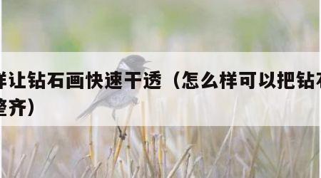 怎样让钻石画快速干透（怎么样可以把钻石画贴整齐）