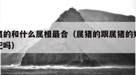 属猪的和什么属相最合（属猪的跟属猪的婚姻相配吗）