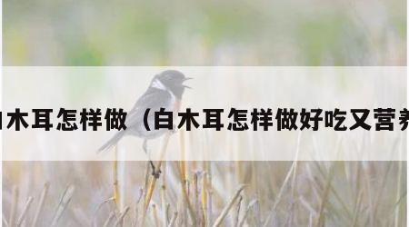 白木耳怎样做（白木耳怎样做好吃又营养）